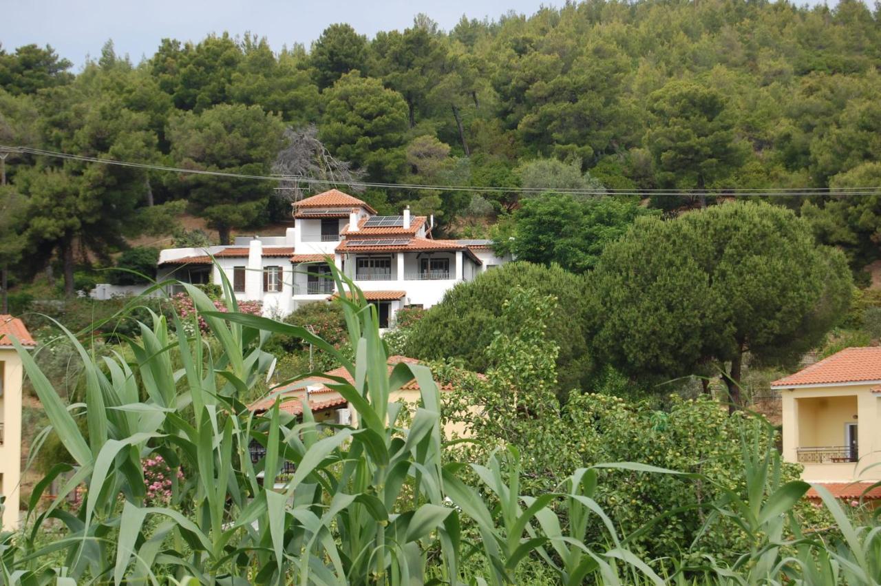 טרולוס Pine Home מראה חיצוני תמונה